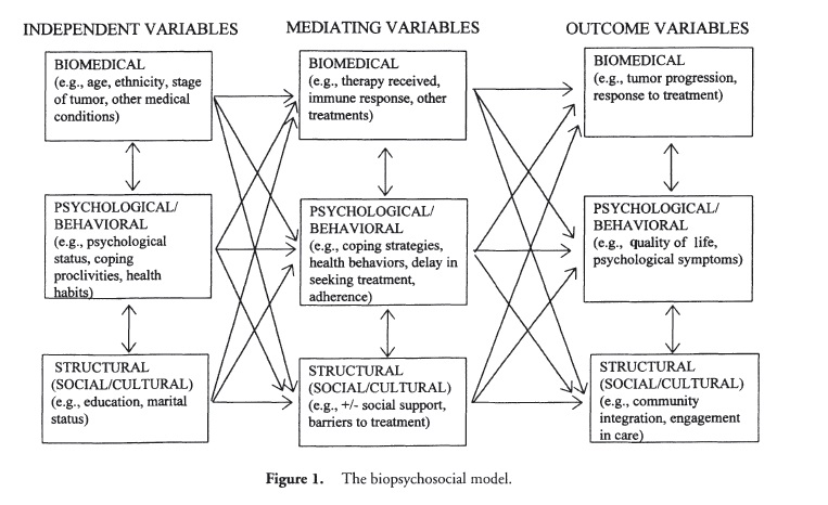 生物-心理-社会模型